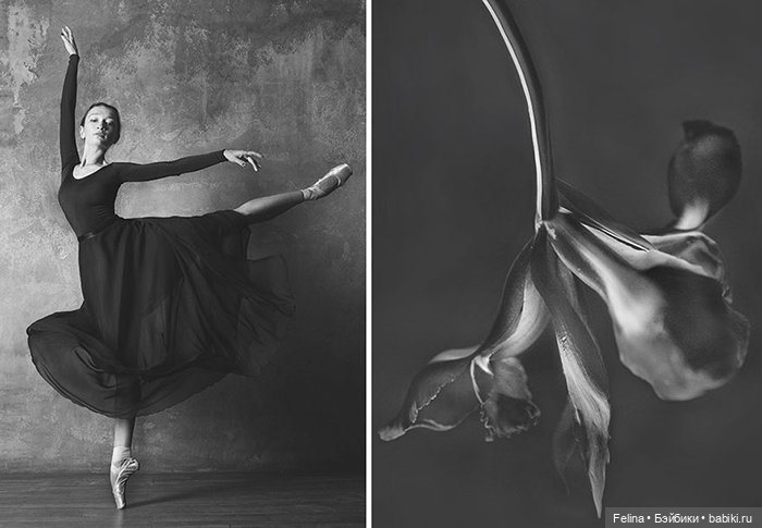 Аналогия танца балерины с нежной хрупкостью цветка (фото 4)