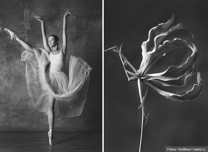 Аналогия танца балерины с нежной хрупкостью цветка