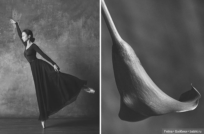 Аналогия танца балерины с нежной хрупкостью цветка (фото 3)