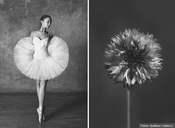Аналогия танца балерины с нежной хрупкостью цветка (фото 10)