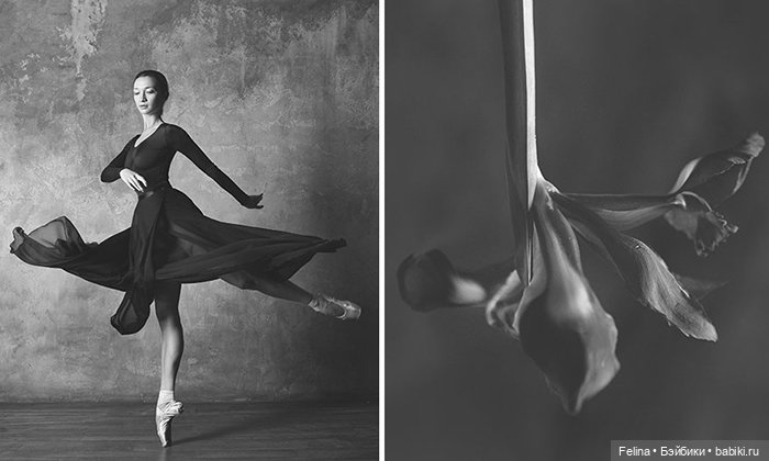 Аналогия танца балерины с нежной хрупкостью цветка (фото 6)