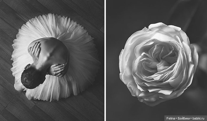 Аналогия танца балерины с нежной хрупкостью цветка