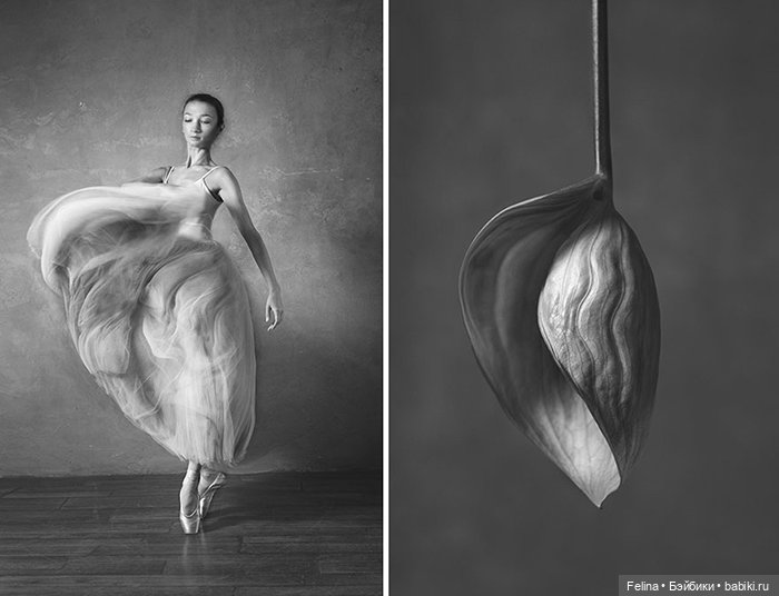 Аналогия танца балерины с нежной хрупкостью цветка (фото 7)