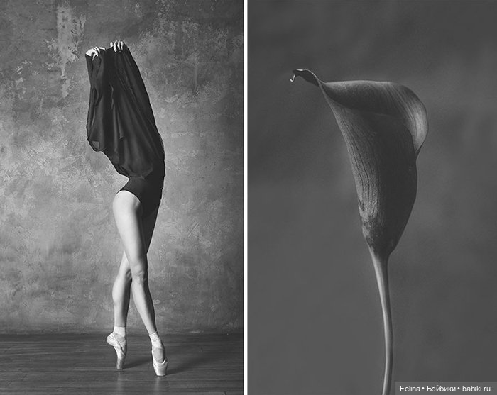 Аналогия танца балерины с нежной хрупкостью цветка