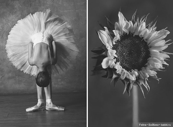 Аналогия танца балерины с нежной хрупкостью цветка (фото 5)