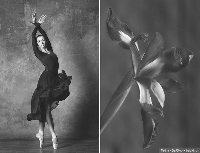 Аналогия танца балерины с нежной хрупкостью цветка