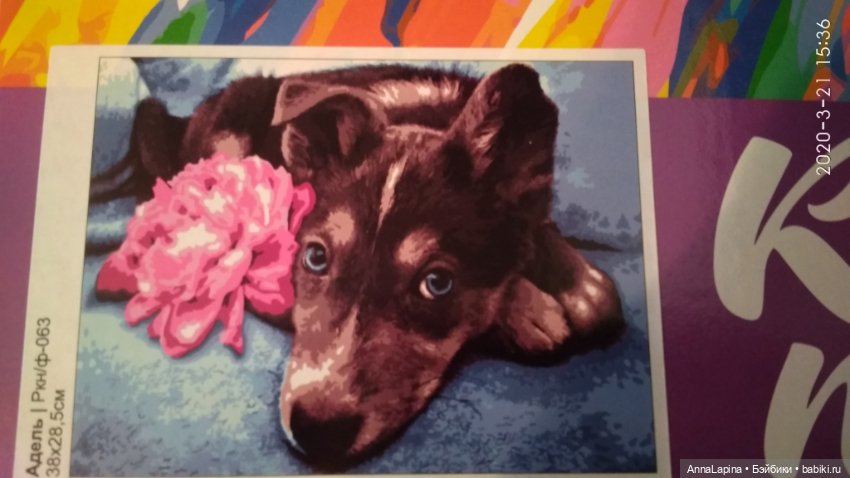 Собачка ( картина по номерам ) (фото 6)
