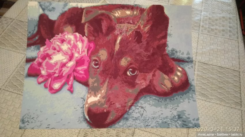 Собачка ( картина по номерам ) (фото 3)