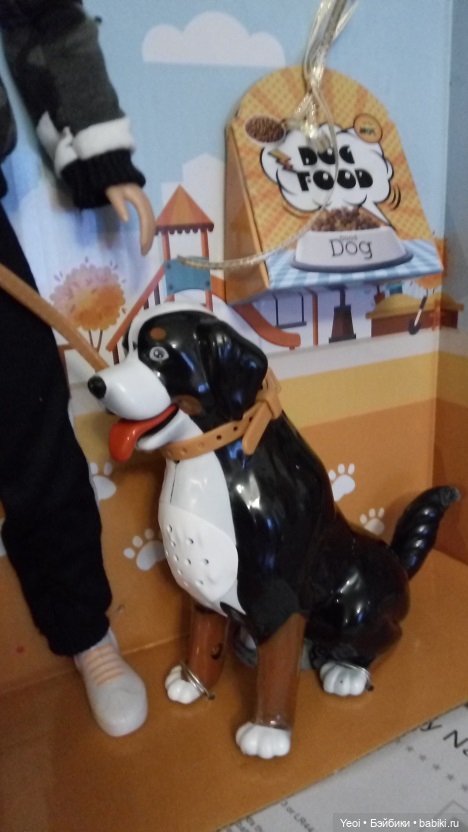 Покупка куклы от Дефа: парень с собакой (фото 5)