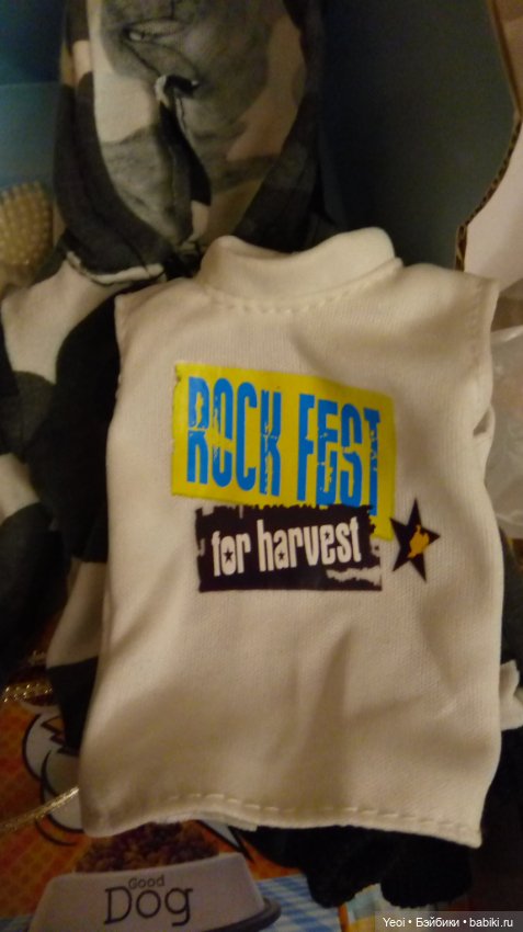 Покупка куклы от Дефа: парень с собакой (фото 9)