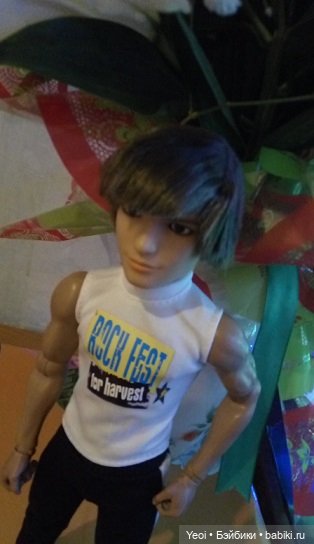 Покупка куклы от Дефа: парень с собакой