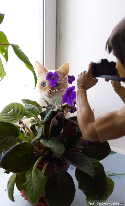 Одежда от куклы Дефа на парне с экшен телом Coolmodel