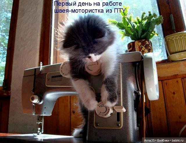 Требуется помощь зала — Болталка и разговоры обо всем: жизнь (фото 6)