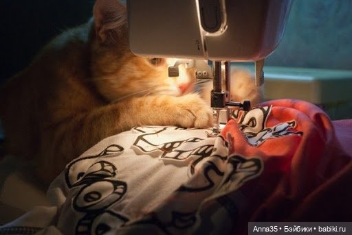 Требуется помощь зала — Болталка и разговоры обо всем: жизнь (фото 3)