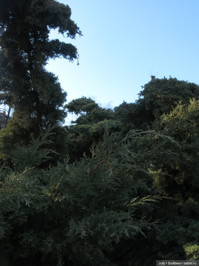 Рутина: часть 2 — Авторские работы в частных коллекциях: домашние фото кукол и игрушек (фото 3)