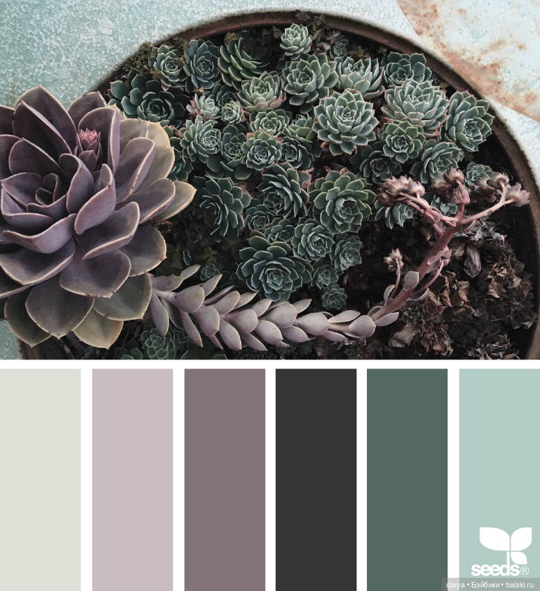 Весенние сочетания цветов