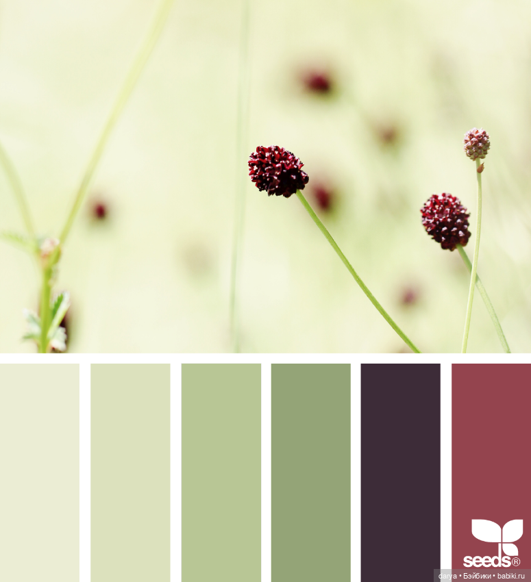 Весенние сочетания цветов