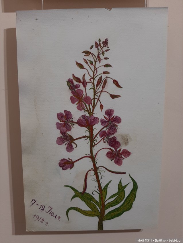 К 175 летию со дня рождения Софьи Андреевны Толстой. Быть женой Л.Н.Толстого