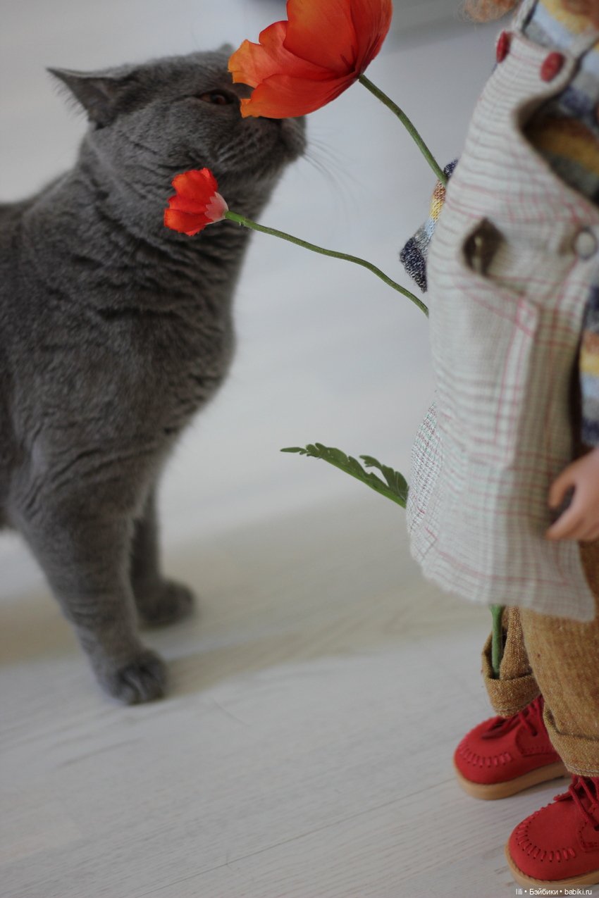 Моя новая куколка - Кики от Zwergnaze (фото 8)