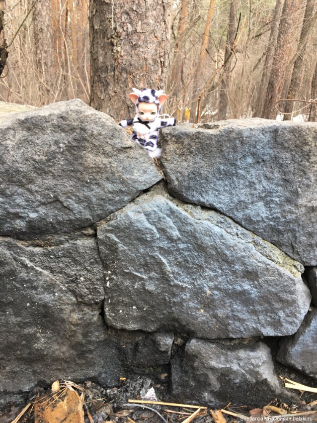 Крошка Pang на лесной прогулке (фото 4)