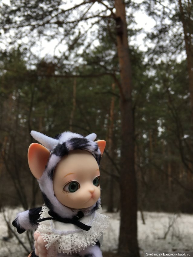 Крошка Pang на лесной прогулке