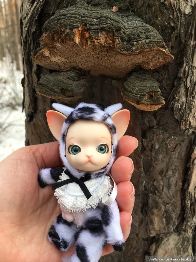 Крошка Pang на лесной прогулке