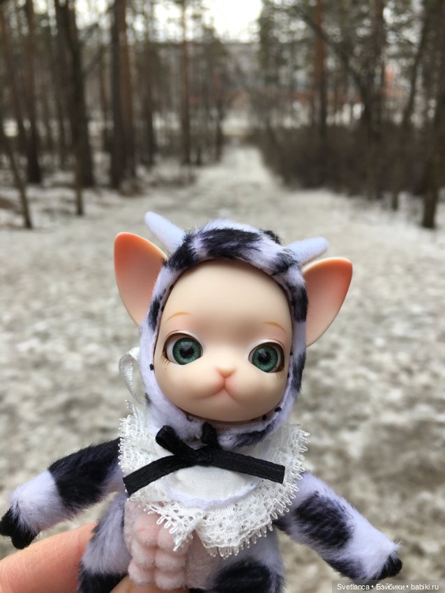 Крошка Pang на лесной прогулке