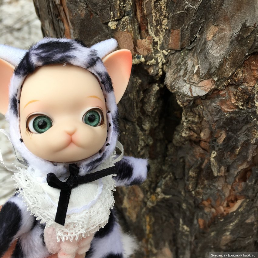 Крошка Pang на лесной прогулке (фото 10)