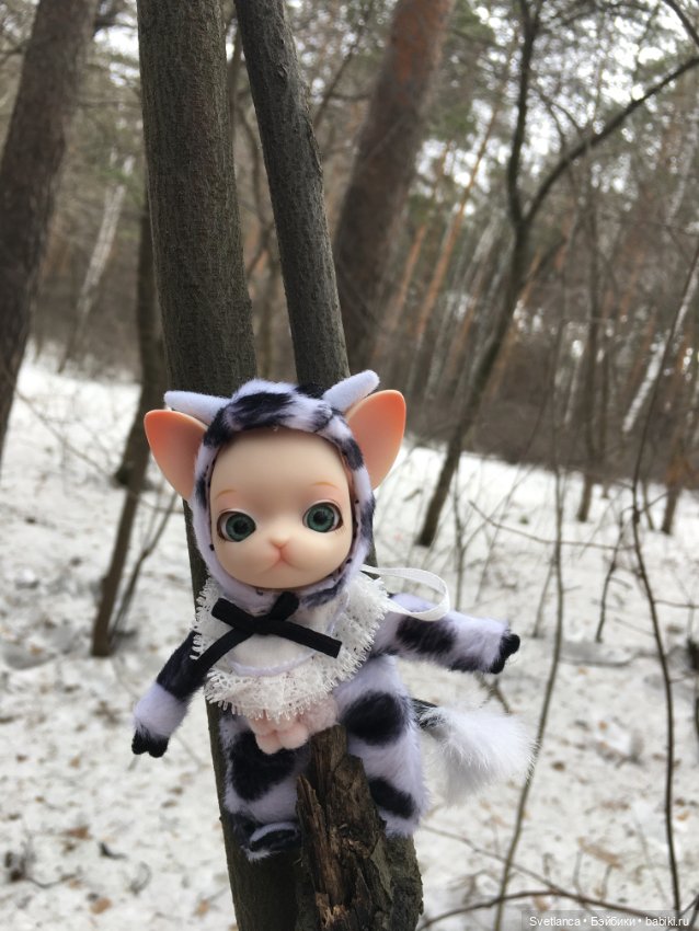 Крошка Pang на лесной прогулке (фото 2)