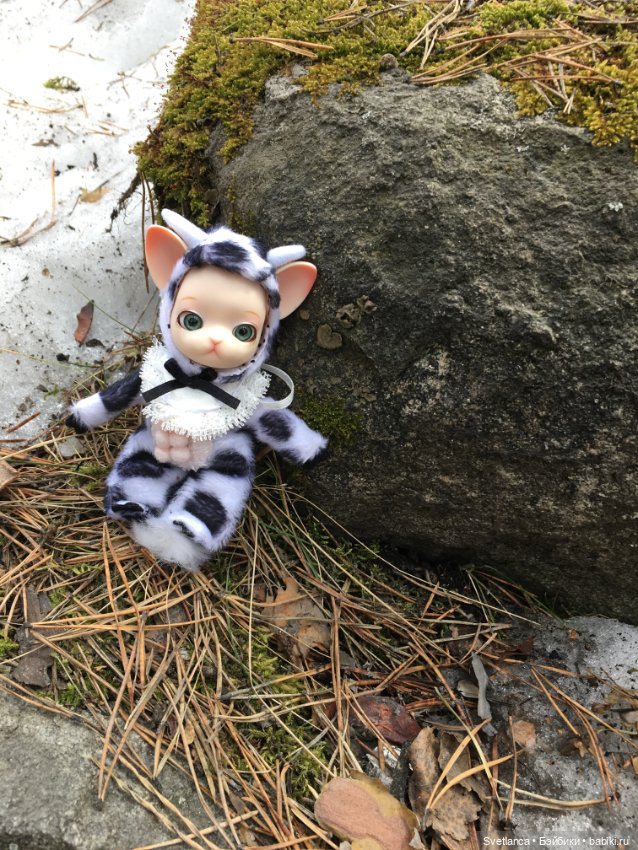 Крошка Pang на лесной прогулке