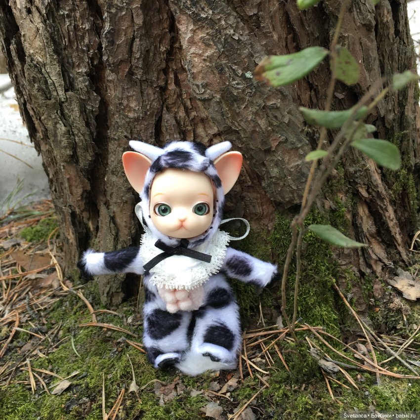 Крошка Pang на лесной прогулке (фото 6)