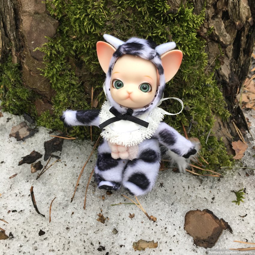 Крошка Pang на лесной прогулке (фото 7)