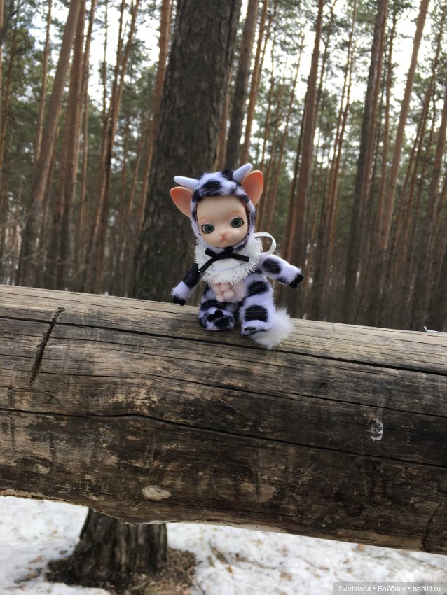 Крошка Pang на лесной прогулке