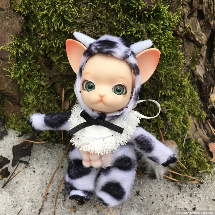 Крошка Pang на лесной прогулке (фото 8)