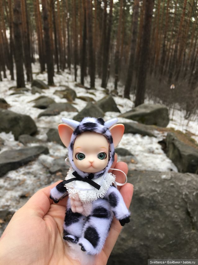 Крошка Pang на лесной прогулке