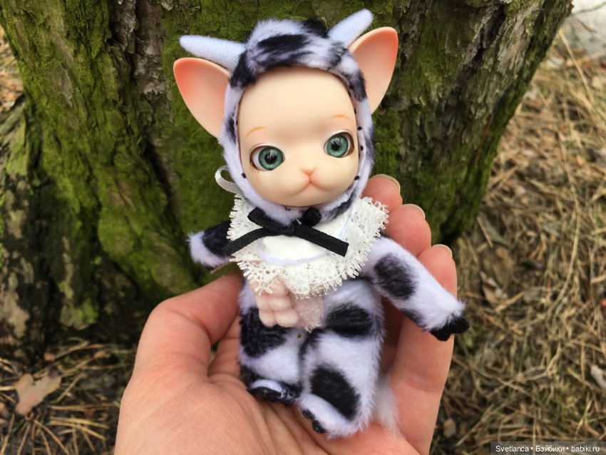 Крошка Pang на лесной прогулке