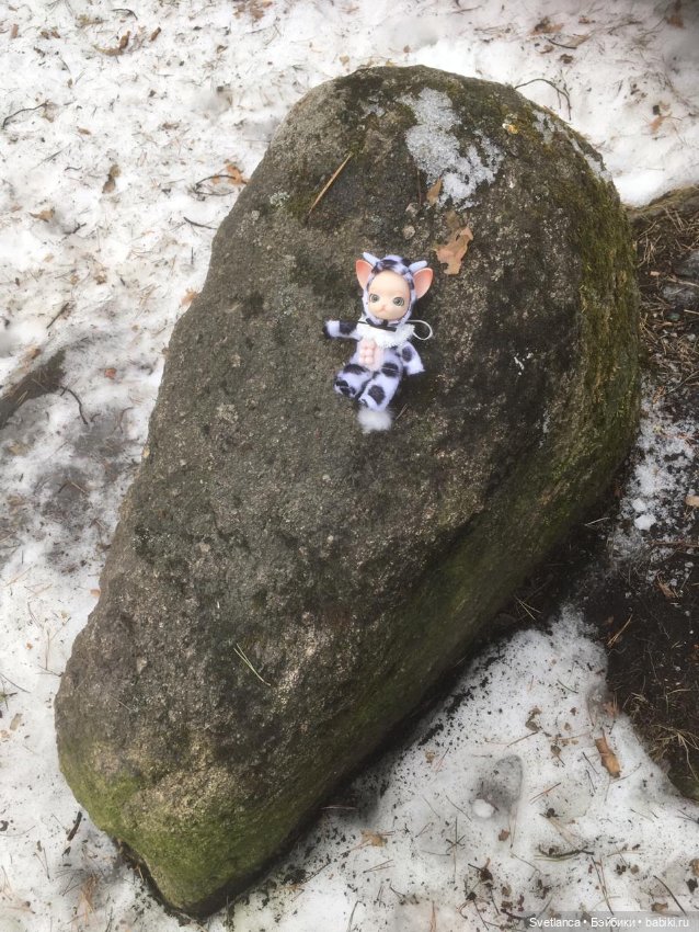 Крошка Pang на лесной прогулке