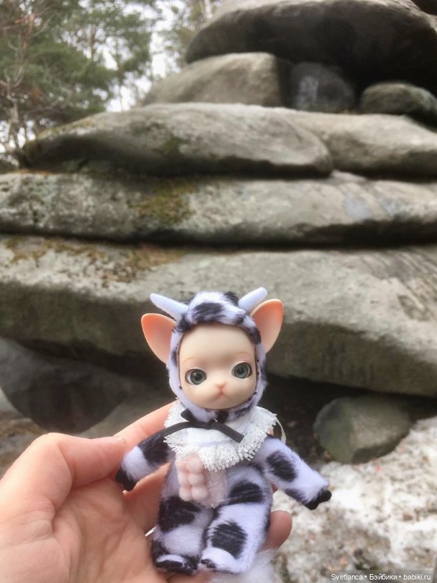 Крошка Pang на лесной прогулке