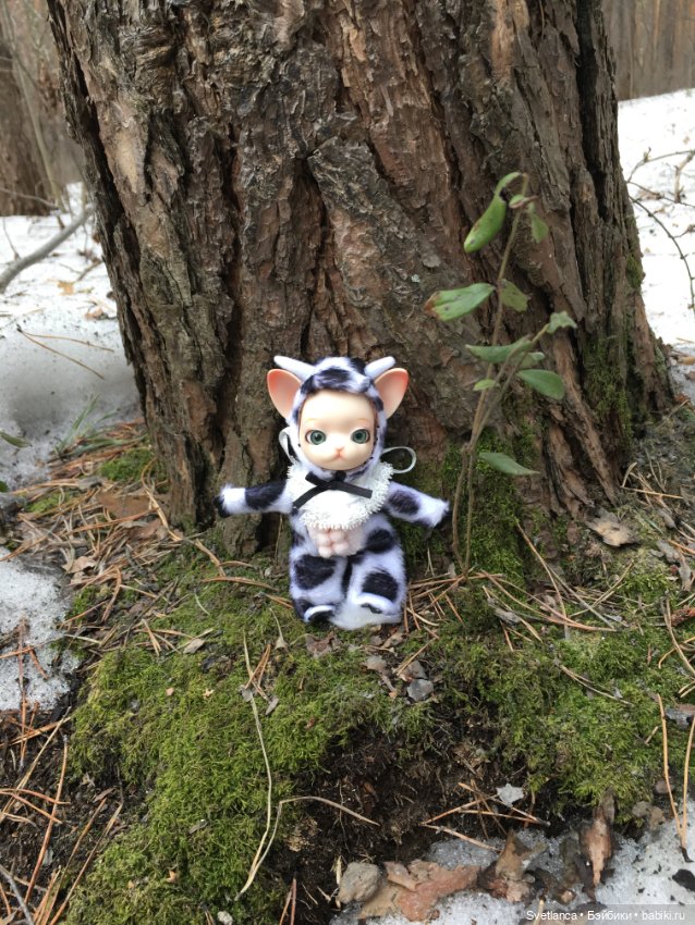 Крошка Pang на лесной прогулке (фото 5)