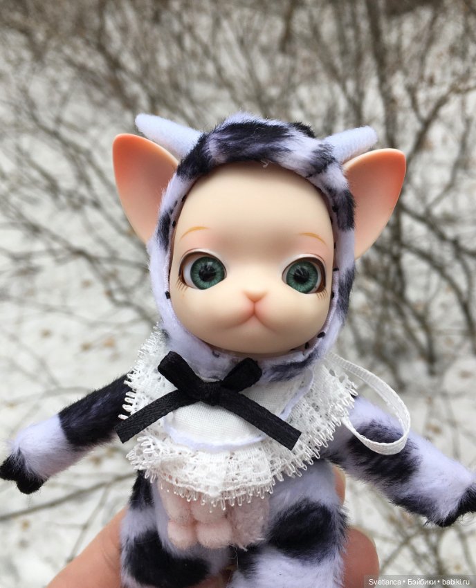 Крошка Pang на лесной прогулке (фото 3)