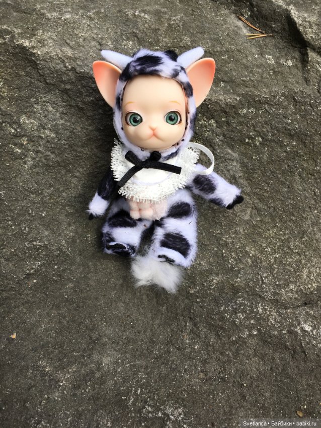 Крошка Pang на лесной прогулке