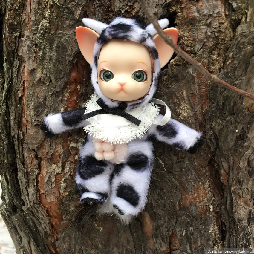 Крошка Pang на лесной прогулке (фото 9)