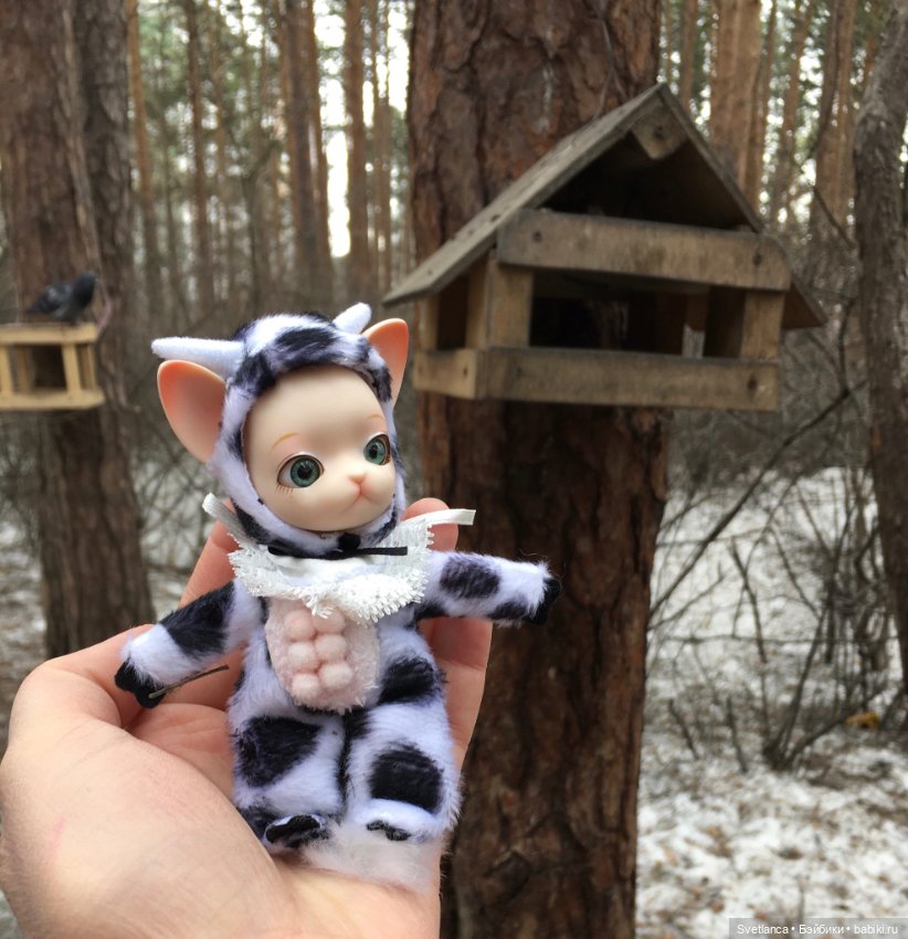 Крошка Pang на лесной прогулке