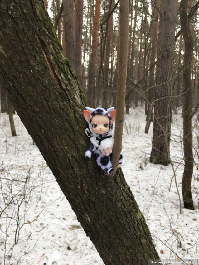 Крошка Pang на лесной прогулке