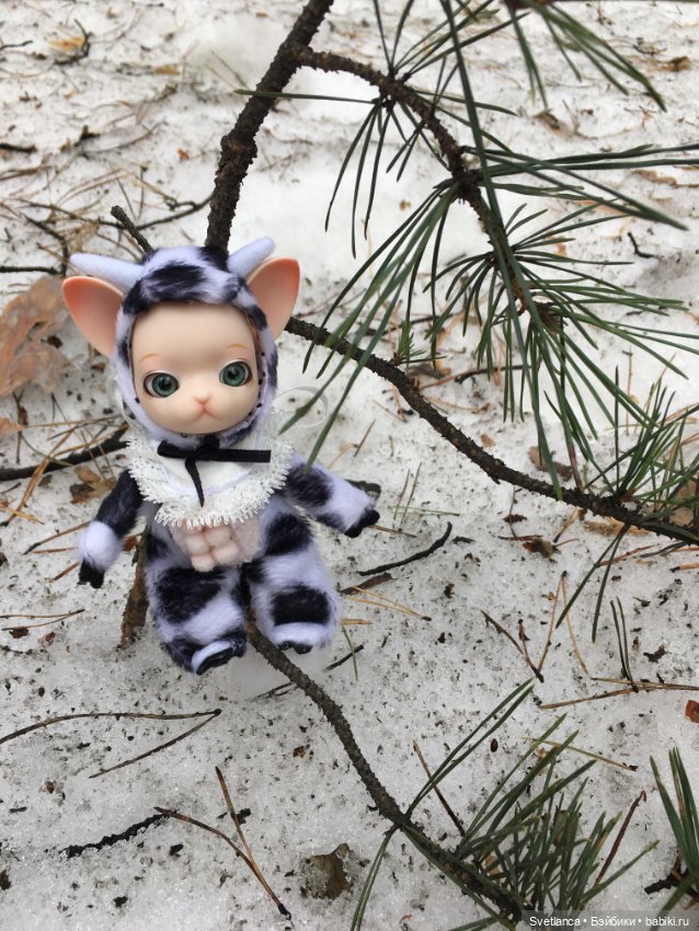 Крошка Pang на лесной прогулке