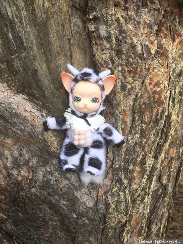 Крошка Pang на лесной прогулке