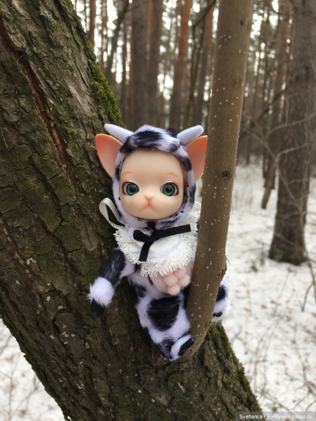 Крошка Pang на лесной прогулке