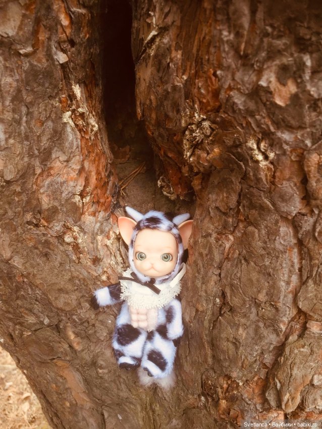 Крошка Pang на лесной прогулке