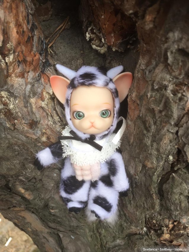 Крошка Pang на лесной прогулке