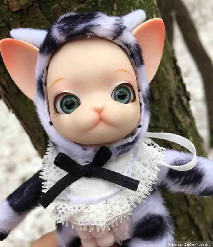 Крошка Pang на лесной прогулке